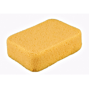 SPONGE